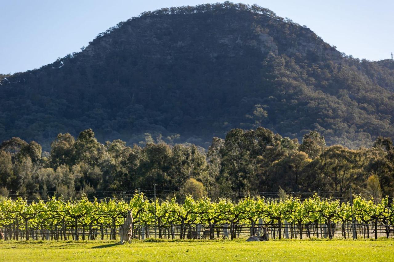 فيلا Brokenback Vineyard Estate بوكولبن المظهر الخارجي الصورة